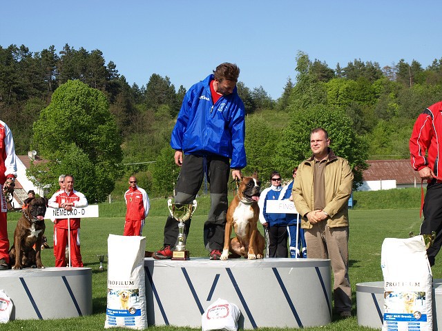 www.atibox.net * www.euroboxer.eu * www.boxergenealogia.eu